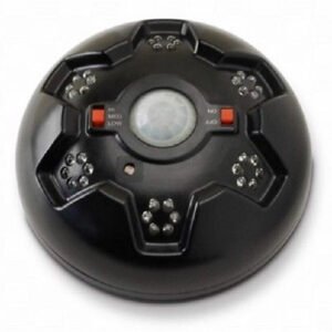 American Hunter Swine Shine Feeder Hog Light Model# AH-HOGLITE