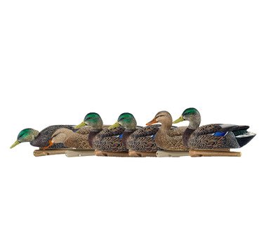 Avian-X Topflight Early Season Mallards – 6-Pack Floating Decoys 1 Avian-X Topflight Early Season Mallards – 6-Pack Floating Decoys