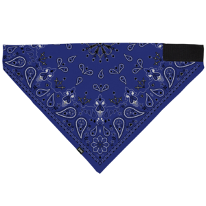 Bandanna