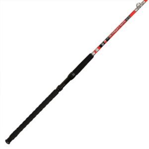 B&M SILVER CAT ELT 7.5' 1PC CAST RD