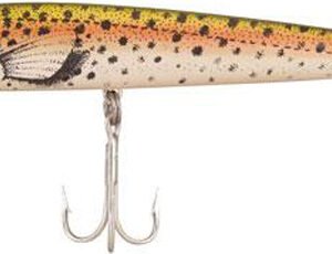 COR RED FIN 1-RAINBOW TROUT
