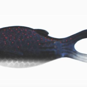 3.5" WARMOUTH / BABY BULL HEAD 4PK