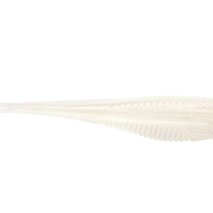 CRUSHCITY JERK 375 ALBINO PEARL