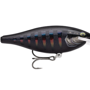 SHAD RAP ELT 55 GILDED NIGHT AURORA