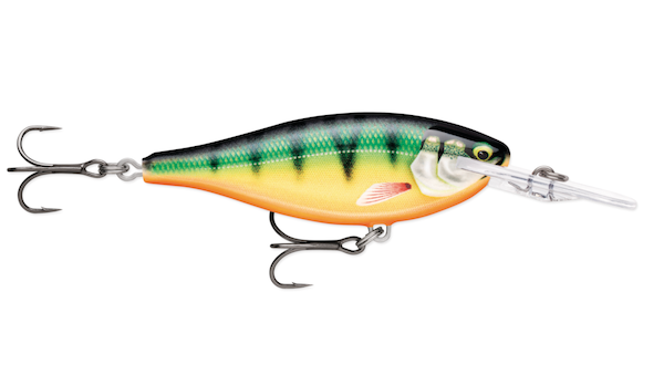 SHAD RAP ELITE 55 GILDED PERCH