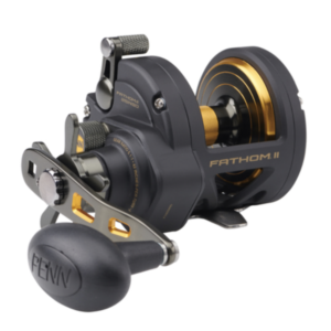 PENN FATHOM II 30 STAR DRAG 7BB