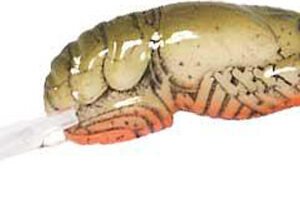 REB WEE CRAW 2" 1/5-STREAM CRAW