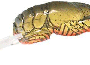 REB TEENY WEE CRAW 1/10-MOSS CRAW