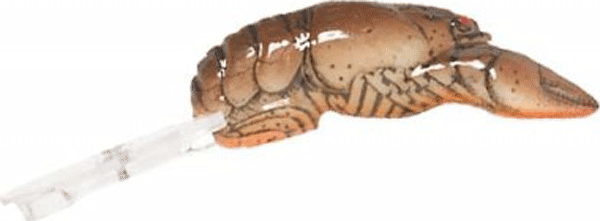 REB BIG CRAW 2 5/8" DITCH BROWN