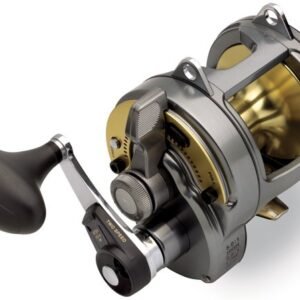 SHIMANO TYRNOS 2SPD 4BB 5.2 SW