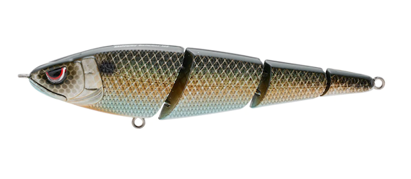 SASHIMMY SWIMMER 125 KILLER GILL