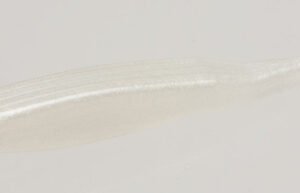 ZOOM SWMMN SUPER FLUKE 5BG WHTPERL