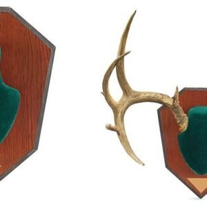 Allen Antler Mounting Kit - Green Skull