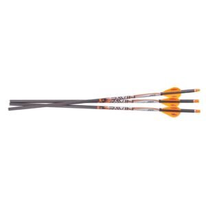 Ravin Arrows 400gr. 3 PK .001