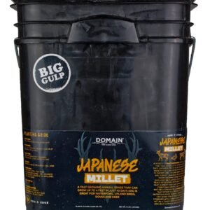 DOMAIN DJMS4LB     JAPANESE MILLET