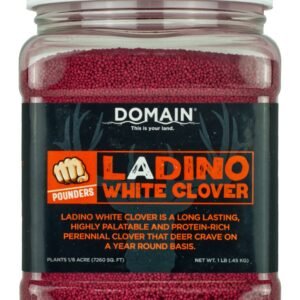 DOMAIN DLWCS1LB    LADINO WHITE CLOVER