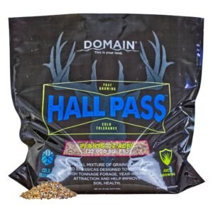 DOMAIN HPFP20      HALL PASS