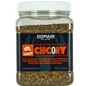 DOMAIN DCS1LB      POUNDER - CHICORY