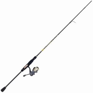 B&M LELAND TCB COMBO 6.5' 2PC SPN