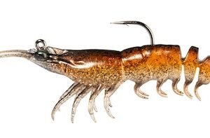 ZMAN PRAWNSTARZ 3.5" BRN SHRIMP 2PK