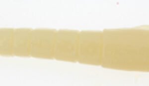BERK SW GULP 3" SHRIMP GLOW