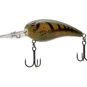 RKCRAWLER 55 GREEN PUMPKIN ORANGE