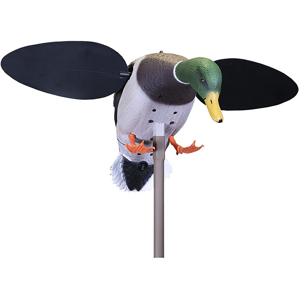 Mojo Baby Drake 2.0 Decoy
